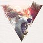 Profile picture for user limace
